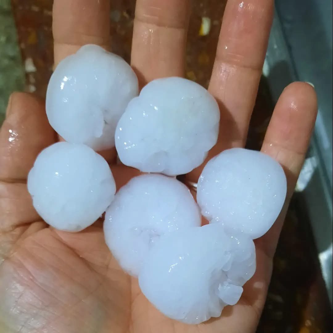Temporal y alerta meteorológica en la ciudad y provincia de Buenos Aires: cómo seguirá el tiempo