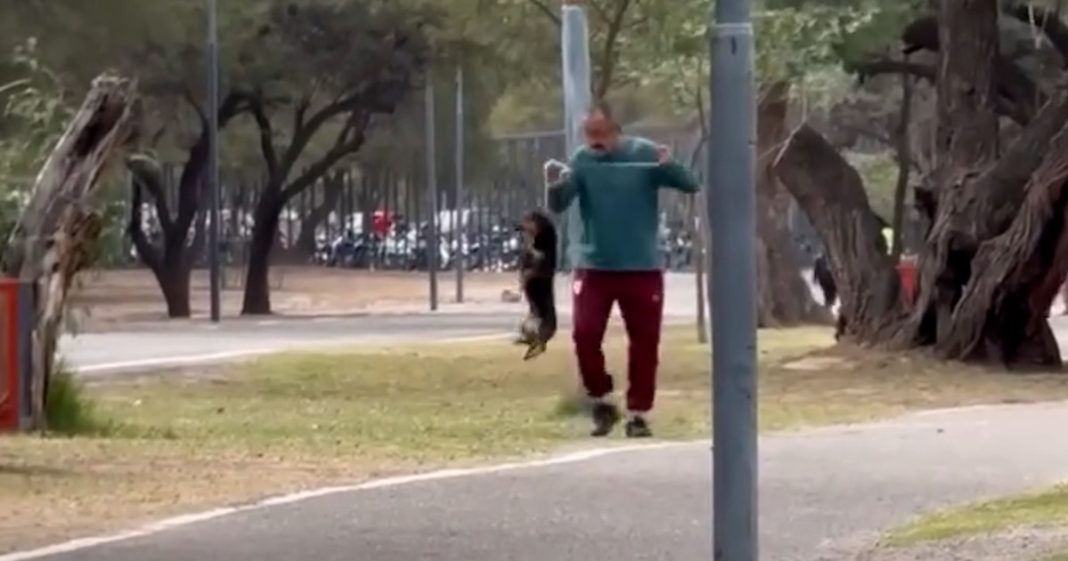 Catamarca: le iniciaron una causa judicial a un hombre que fue grabado ahorcando y pateando a su perro salchicha Catamarca: le iniciaron una causa judicial a un hombre que fue grabado ahorcando y pateando a su perro salchicha