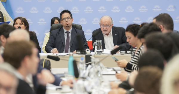 Morosidad: Diputados analizan dos iniciativas para una problemática que golpea a casi 6 millones de argentinos