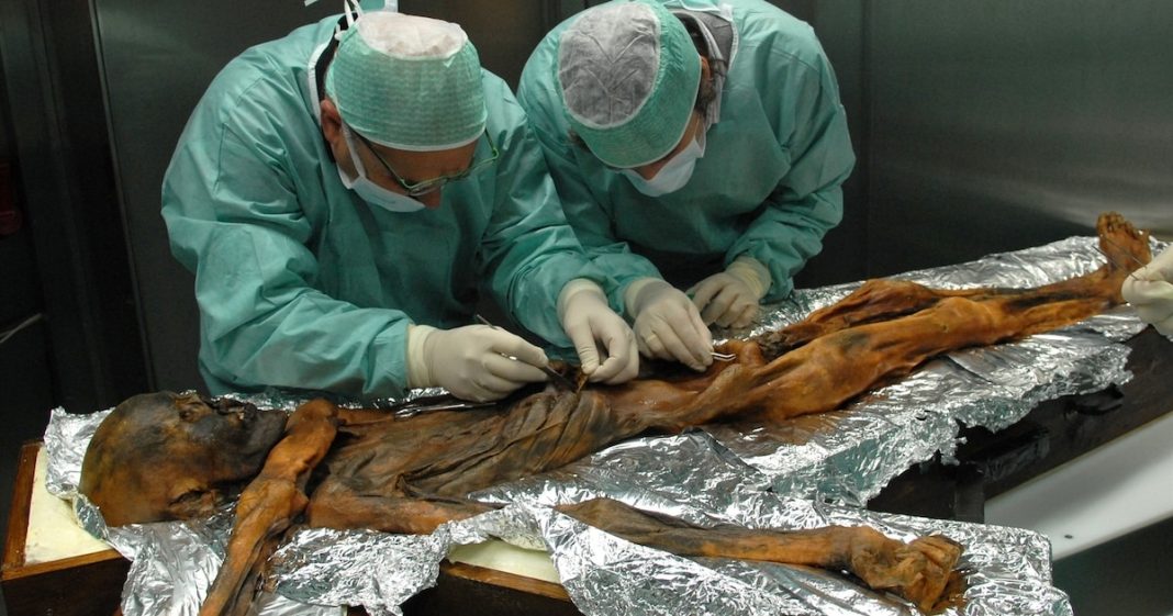 A 35 años del hallazgo del cuerpo de Ötzi, “El hombre de hielo”, víctima del crimen más antiguo de la historia de la humanidad A 35 años del hallazgo del cuerpo de Ötzi, “El hombre de hielo”, víctima del crimen más antiguo de la historia de la humanidad