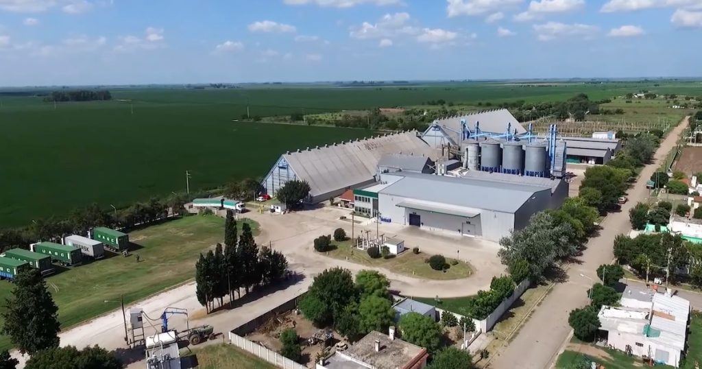 “Insolvencia definitiva e irremediable”: un gigante cordobés de la exportación de maní pidió su propia quiebra