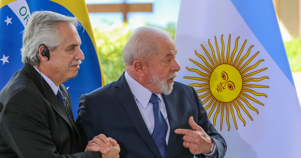 “Salieron de la selva”: Alberto Fernández compartió un spot de Lula para reivindicar su teoría sobre el origen de los brasileños