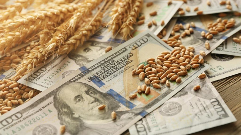 El agro proyecta una cosecha récord y exportaciones por u$s41.500 millones a pesar del Súper Niño