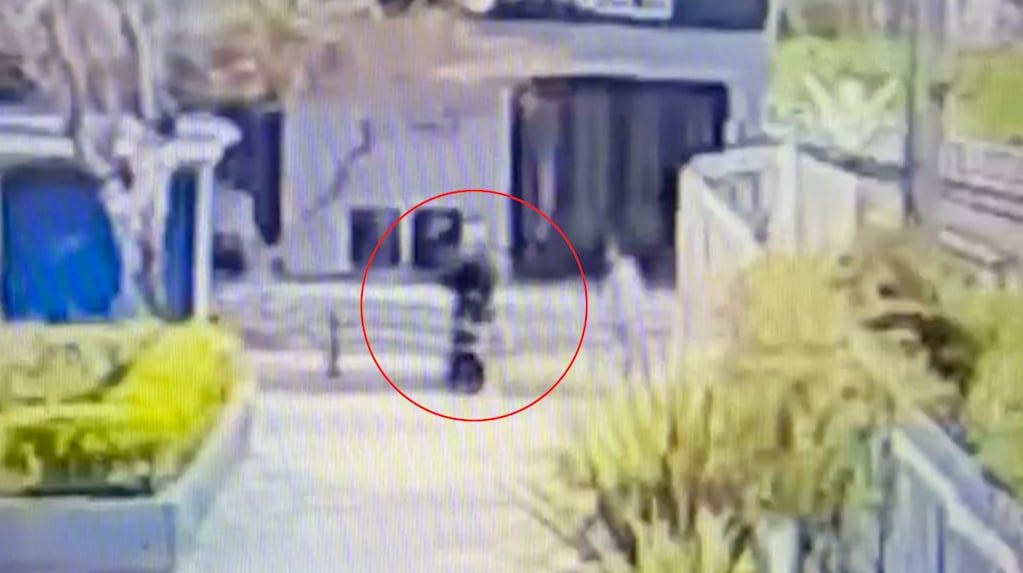 Video impactante: el momento del piedrazo que provocó la muerte de un joven a la salida de un boliche en Ezeiza