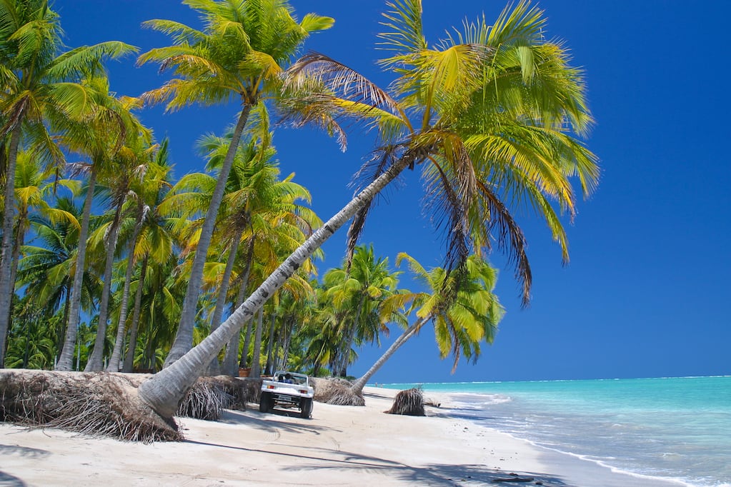 Primavera de viaje: cómo elegir la playa ideal para esquivar las lluvias y la temporada de huracanes