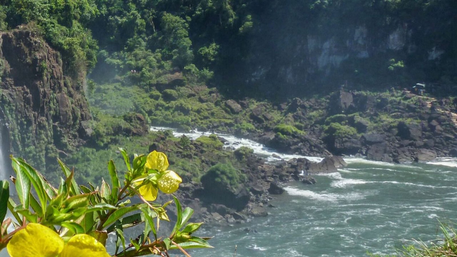 Nació de una donación en Misiones: la reserva que protege 78 hectáreas de selva nativa y conecta áreas clave