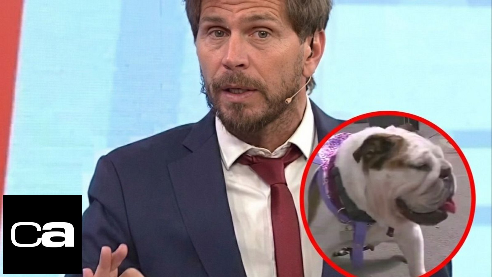 ¿Quién gana el Superclásico? La insólita predicción en vivo que sorprendió al Pollo Vignolo