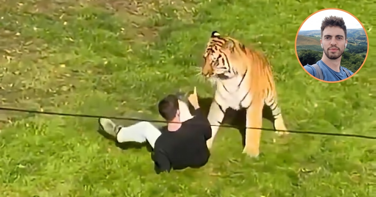 Confirmaron la identidad del joven que murió tras ser atacado por un tigre en un zoológico británico