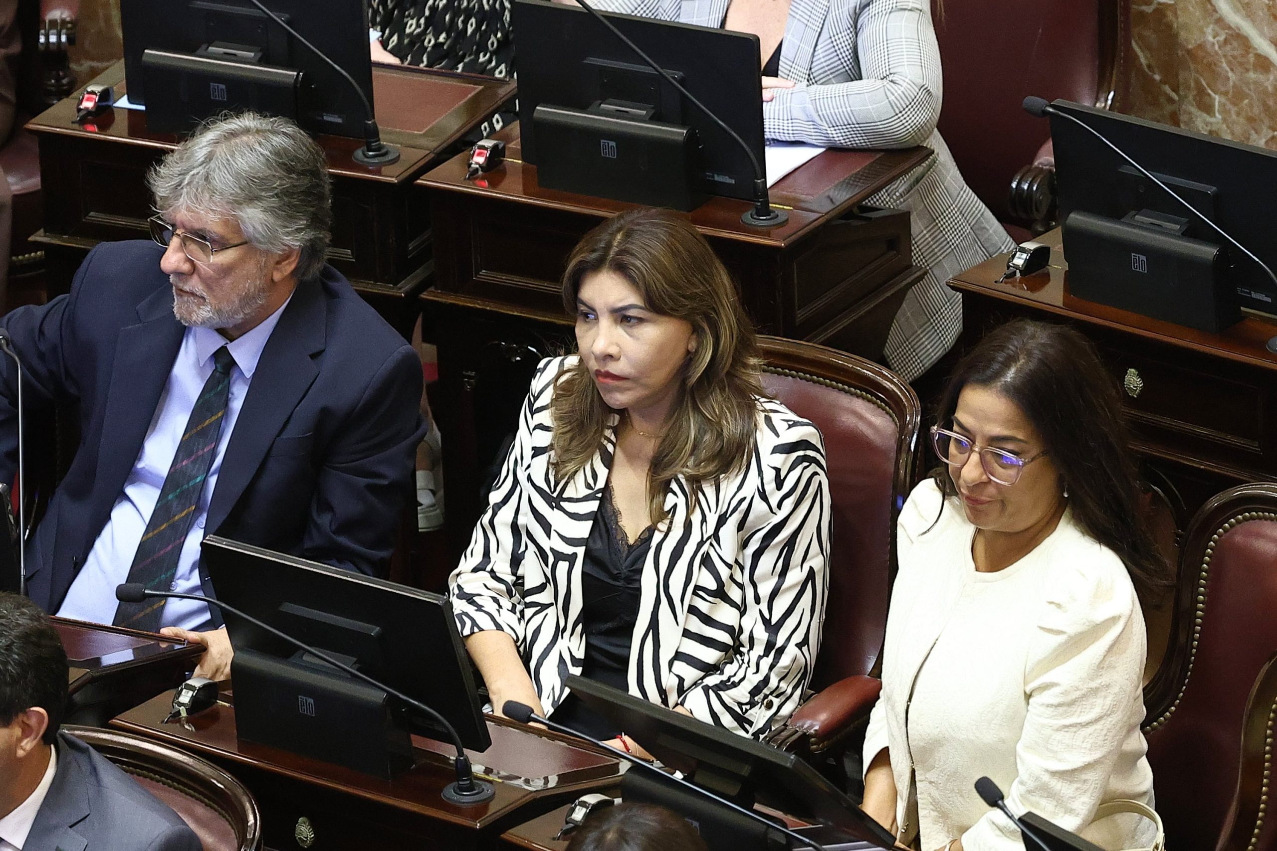 Senado: consiguió dictamen el proyecto y los cambios a la ley de salud mental quedaron un paso más cerca del recinto