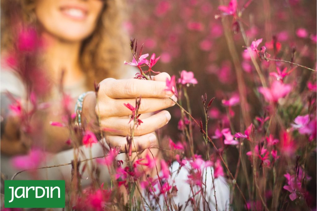 Primavera: el momento exacto para hacer que tu jardín tenga más flores durante todo el verano