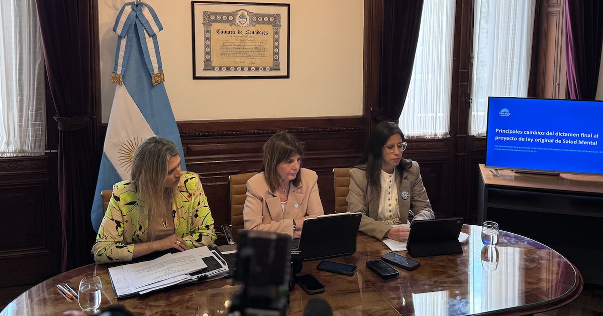 Salud mental: libertarios anunciaron un acuerdo con aliados y buscarán dictaminar mañana la nueva ley