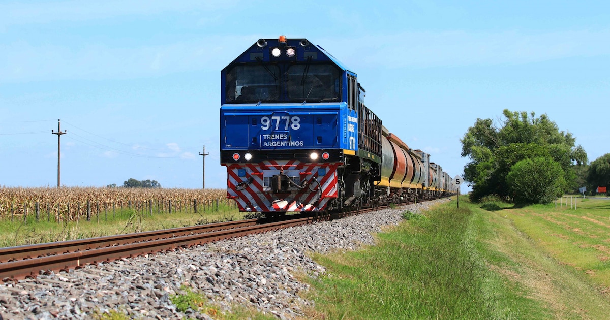 El Gobierno convocará a mineras y operadoras para optimizar los trenes de carga de la puna salteña