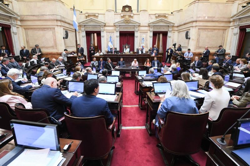 Ley de Salud Mental: los principales cambios que se debatirán en el Senado