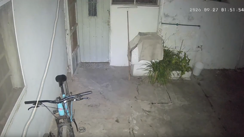 Le desaparecían cosas de su casa, instaló una cámara para atrapar al ladrón y se llevó una sorpresa insólita