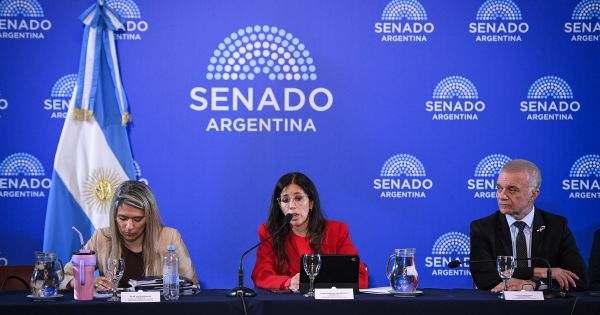 El oficialismo avanza con la reforma de la Ley de Salud Mental