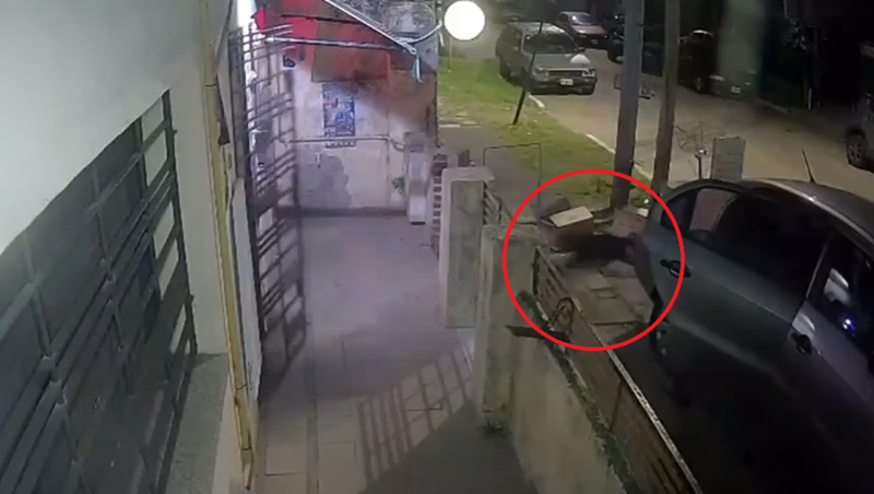 "Dejame el perro": el grito del jubilado al que le robaron el auto en la puerta de la casa