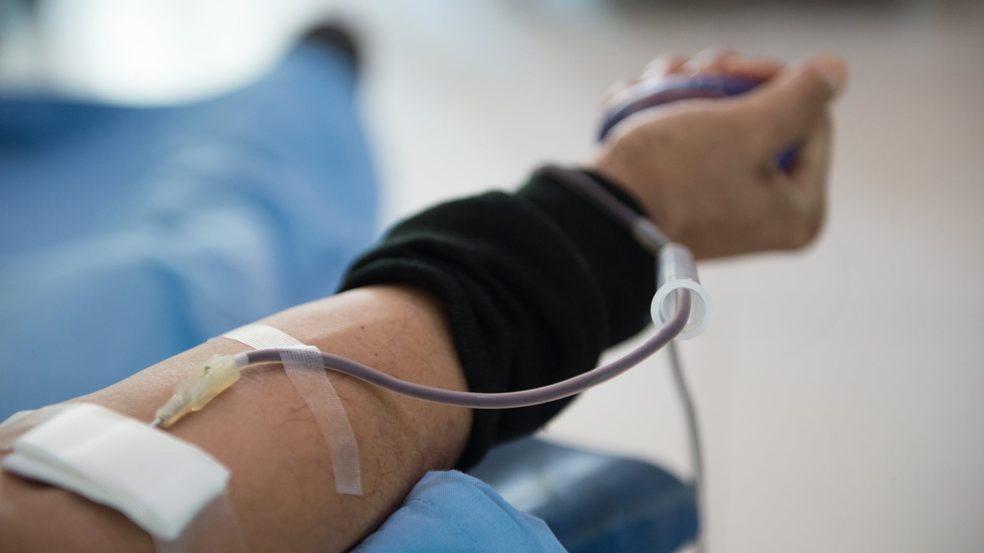 Sangre: quiénes pueden donar, quiénes no y cuánto tiempo hay que esperar si te hiciste un tatuaje