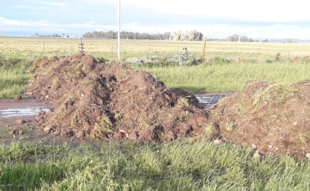 “Es una tomada de pelo”: escándalo porque un intendente de La Cámpora bloqueó una calle con montículos de tierra para frenar el robo de vacas
