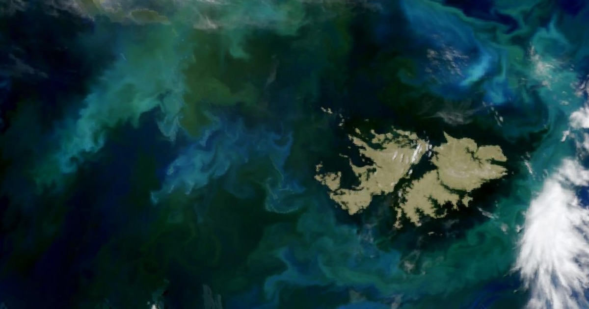 El Reino Unido anunció que las nuevas licencias de hidrocarburos en las Islas Malvinas requerirán su autorización final