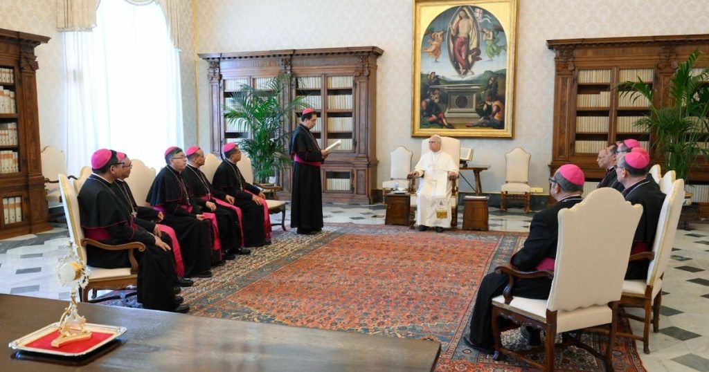 El papa León XIV suspendió sus audiencias hasta el 20 de octubre debido a su intervención quirúrgica