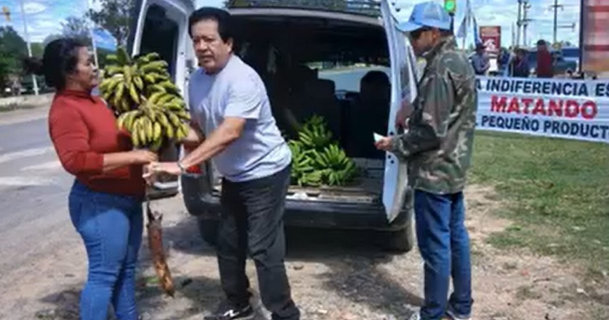 “Crisis terminal”: productores regalaron 3 toneladas de bananas para exponer la difícil situación que atraviesa el sector