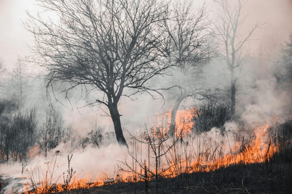 En 2025 la concentración de gases de efecto invernadero alcanzó un récord histórico
