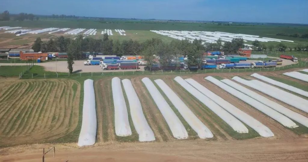 Vandalismo rural: qué dice el proyecto de ley que obtuvo dictamen de comisión y por qué lo cuestiona la oposición