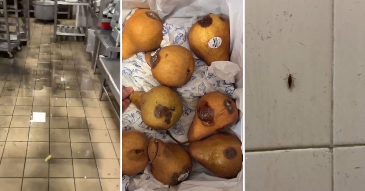 Secretaría de Salud responde a denuncias por cucarachas y alimentos en mal estado en comedor de trabajadores del INP