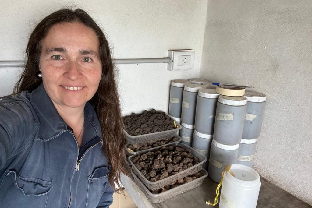 El INTA despidió a una científica que investigó los efectos de los agroquímicos en Argentina