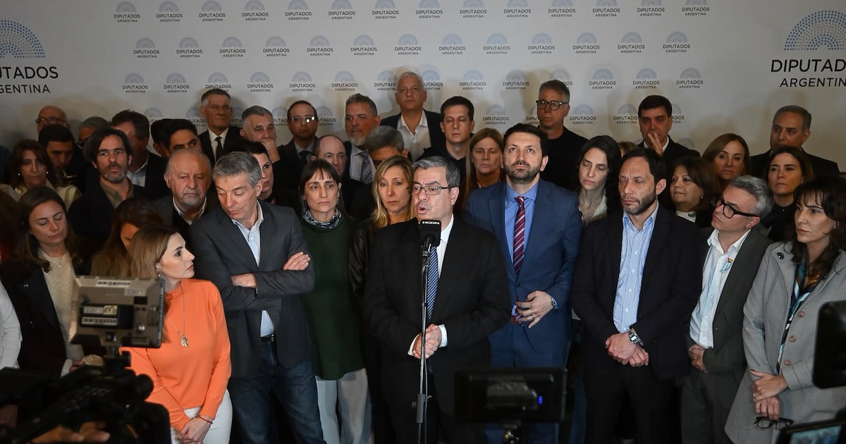 La oposición advierte que el fallo de la Corte sobre la venta de tierras es provisorio e insiste con la derogación del DNU 70