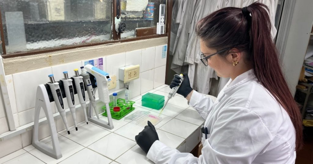 Radiografía del CONICET en tiempos de Milei: recorte de fondos, reducción de becarios y menos investigaciones