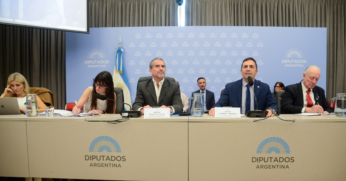 El secretario de Trabajo defendió el Presupuesto y dijo que “no todos quieren trabajar en relación de dependencia”