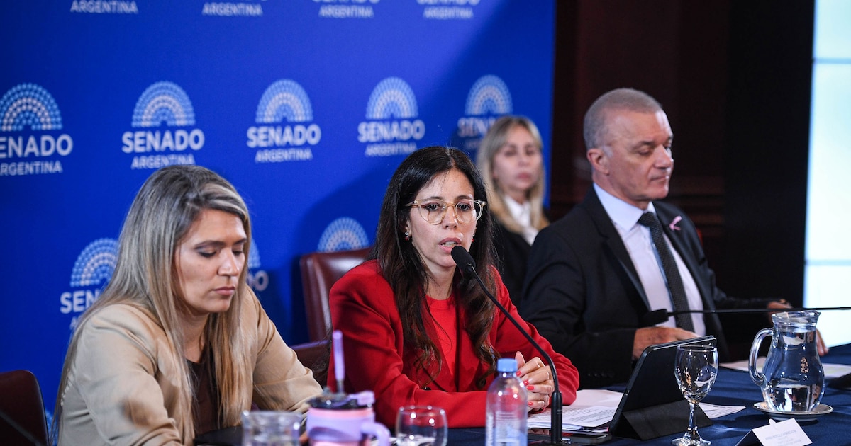 Senado: se demoran las firmas para dictaminar la ley de salud mental y hay disidencias de los aliados