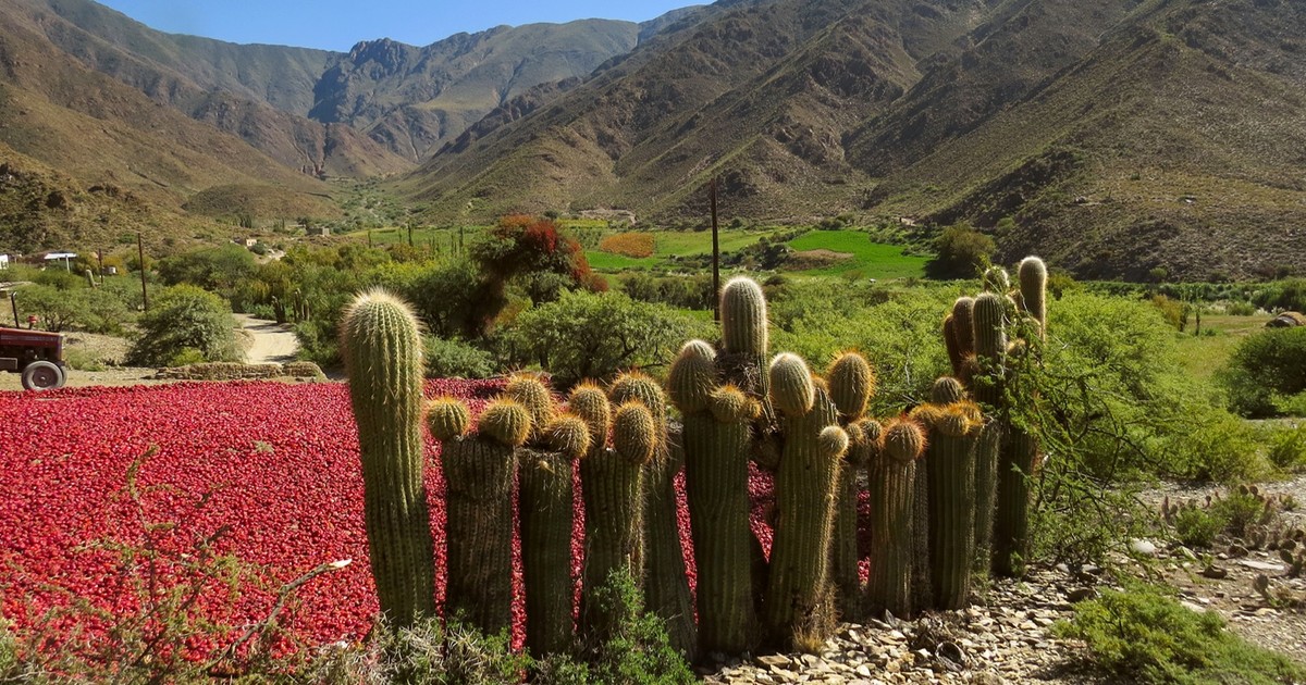 El pueblo de Salta que busca estar entre los mejores del mundo y estrenó un lodge de lujo