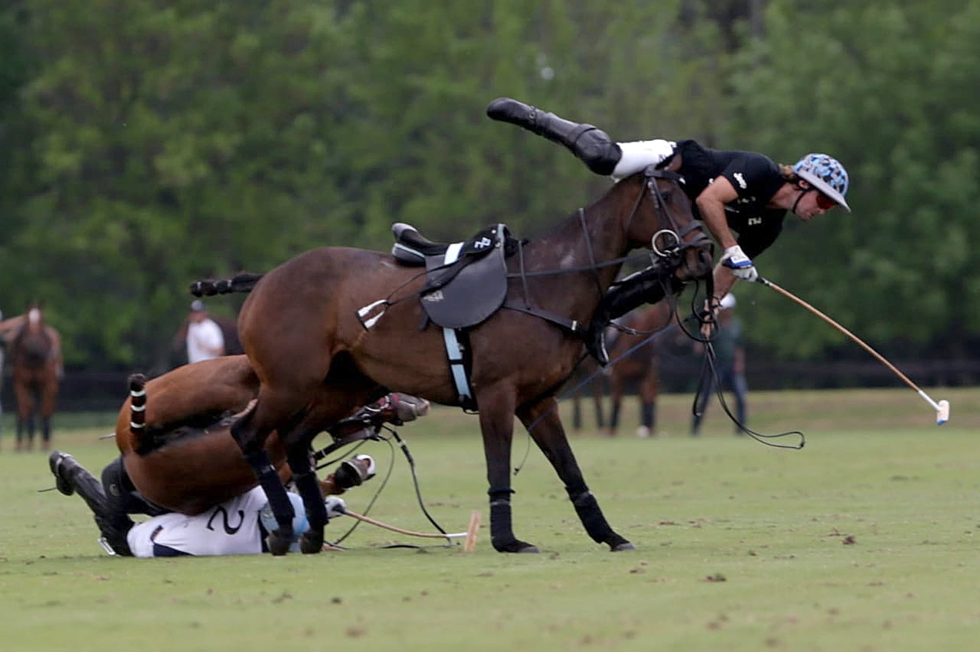 Aprender a caer del caballo, una asignatura pendiente en el polo: también se puede entrenar