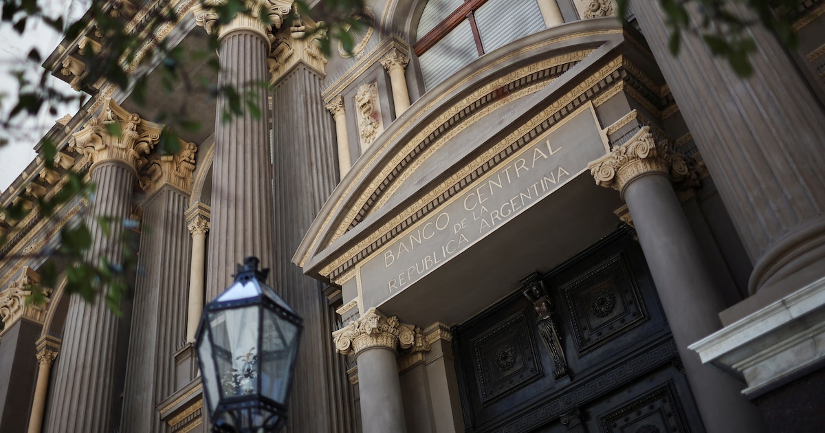 La auditora por el oficialismo habló del informe sobre el oro del Banco Central y defendió la gestión de Bausili