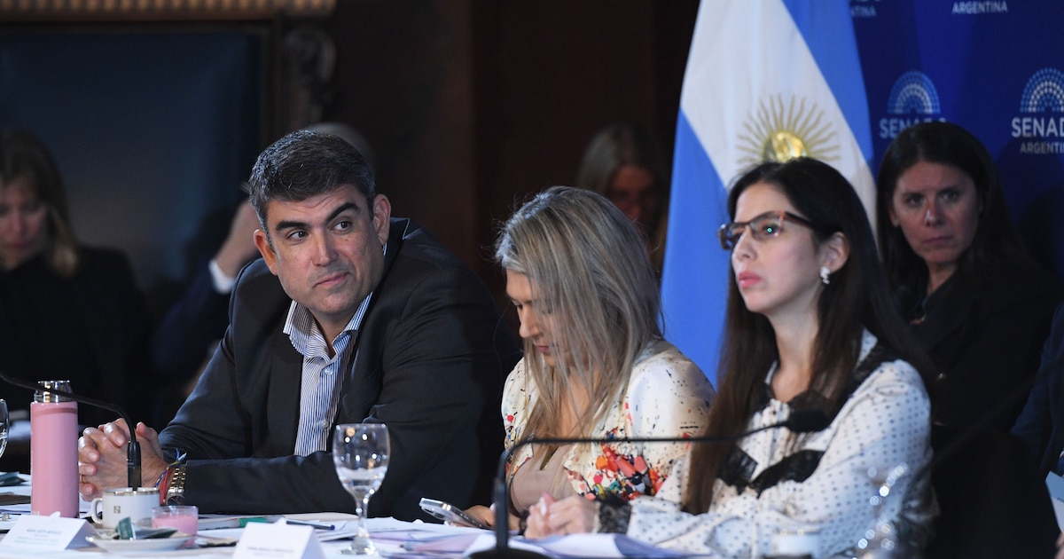 En plena puja con los aliados, el Gobierno busca acelerar un acuerdo en el Senado para cambiar la ley de salud mental