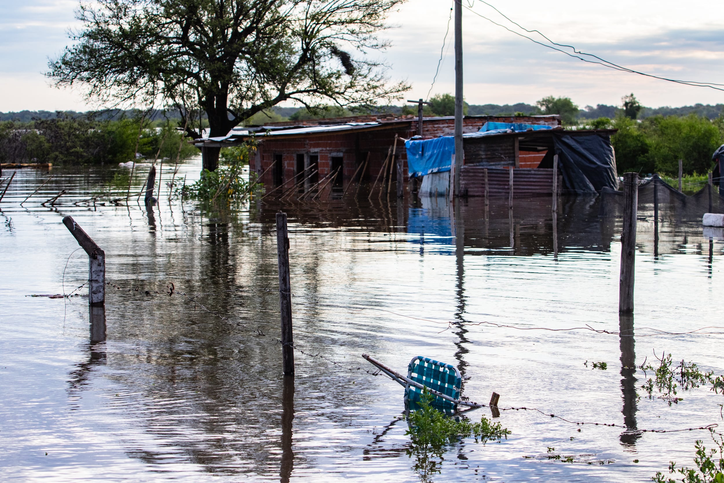 “Se multiplican los riesgos”: advierten que las alteraciones climáticas de El Niño favorecen la propagación de enfermedades