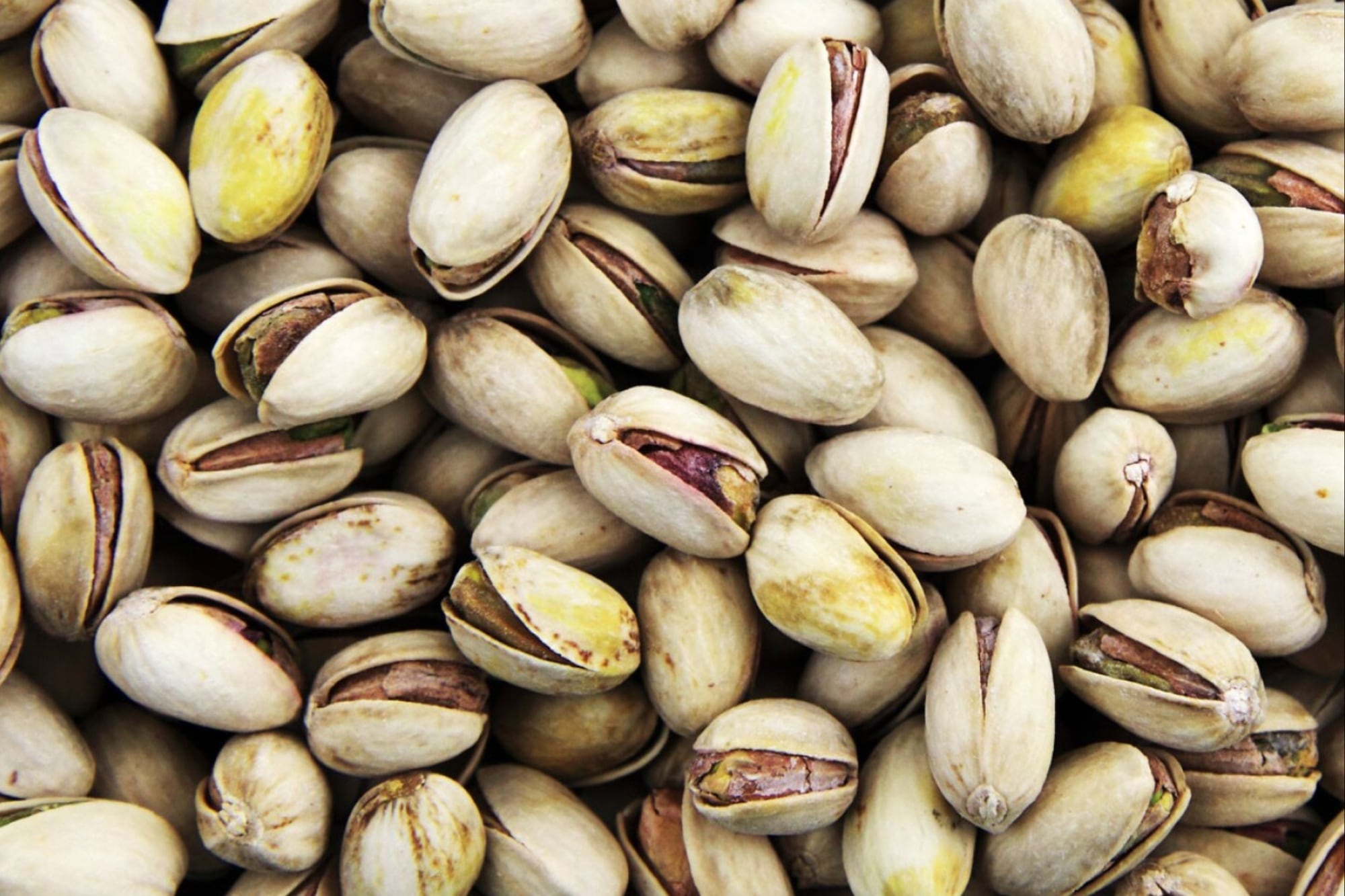 Oro verde: invertirán US$19,5 millones en San Juan para ampliar la producción de alimentos y pistachos