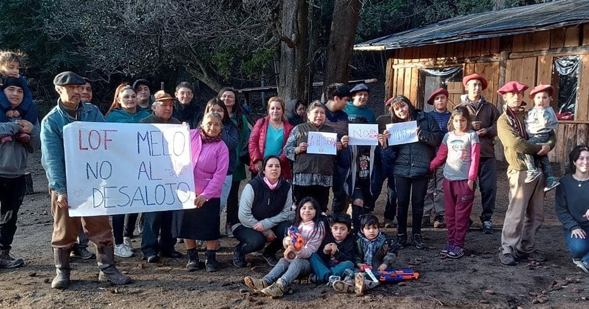 Villa La Angostura: la Justicia rechazó un planteo mapuche en un juicio por tierras y advirtió sobre una posible “maniobra procesal”