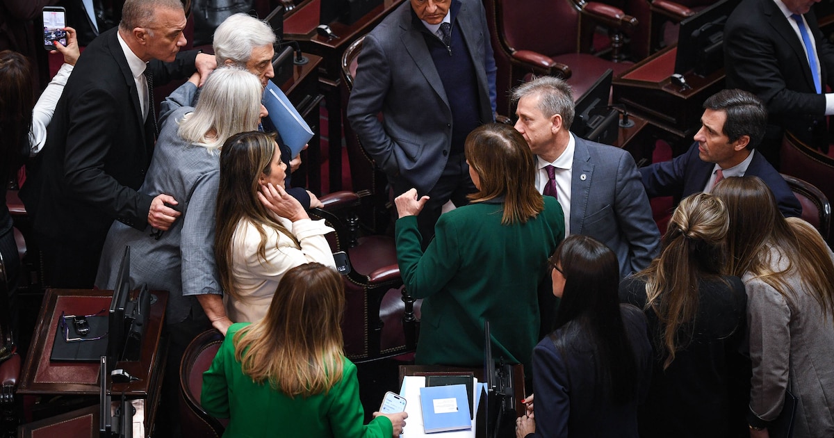 Senado: se reúnen los libertarios para limar asperezas y encarar las últimas seis semanas de sesiones ordinarias