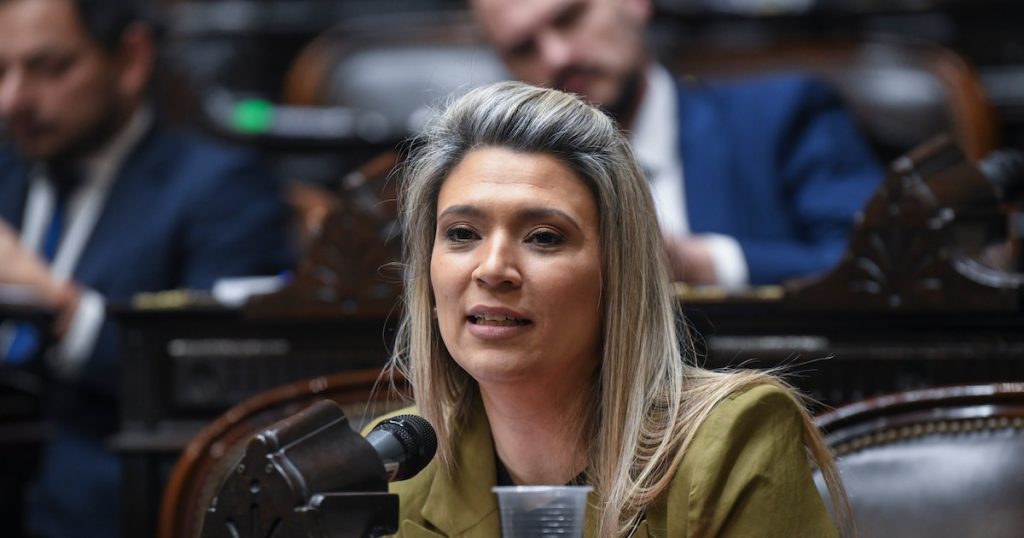 Puja en el Senado por la estratégica comisión de Acuerdos: los aliados dudan de la candidata del Gobierno