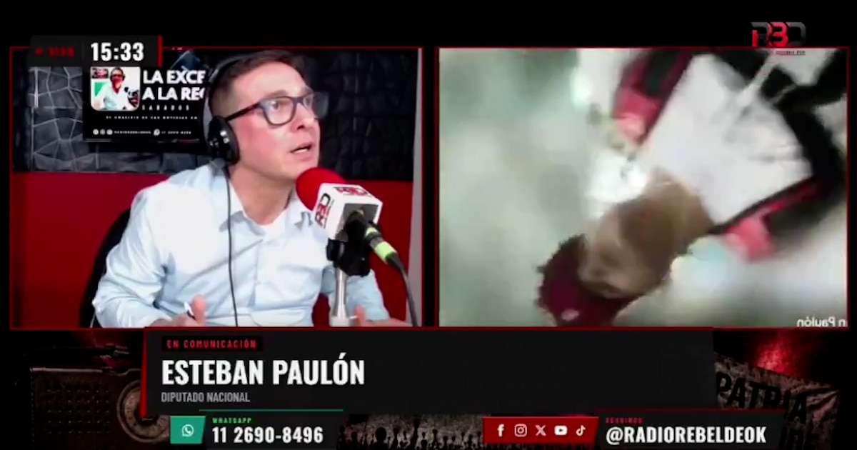 Video: Le robaron el celular al diputado nacional Esteban Paulón en Brasil cuando daba una entrevista en vivo