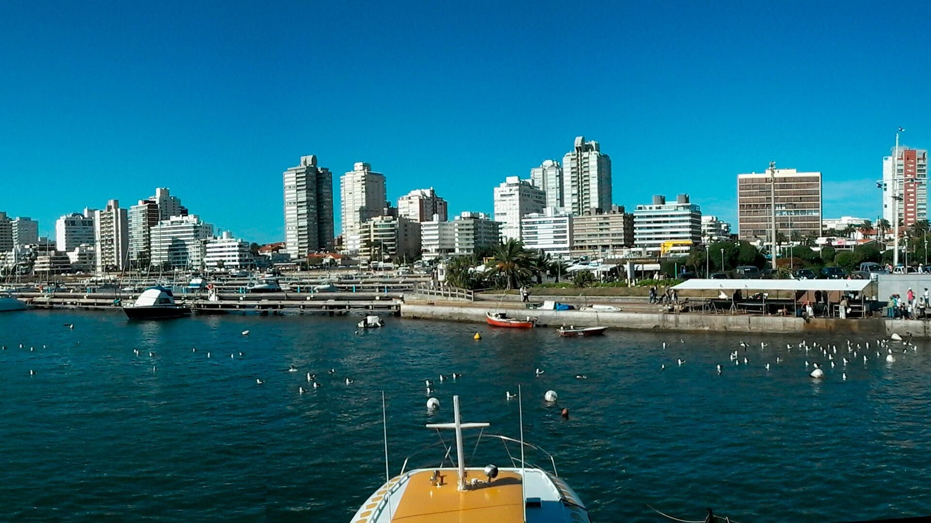 Predicción del clima en Punta del Este para este sábado 24 de octubre