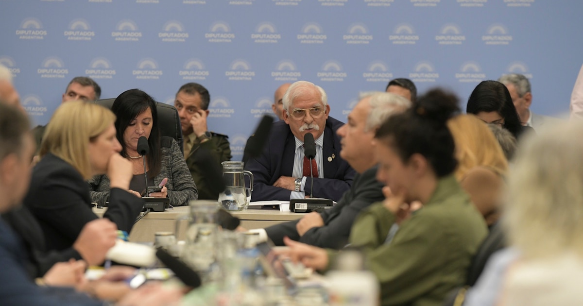 Diputados retomó el debate sobre Malvinas: la oposición pide tratar algunos puntos por separado para apoyar