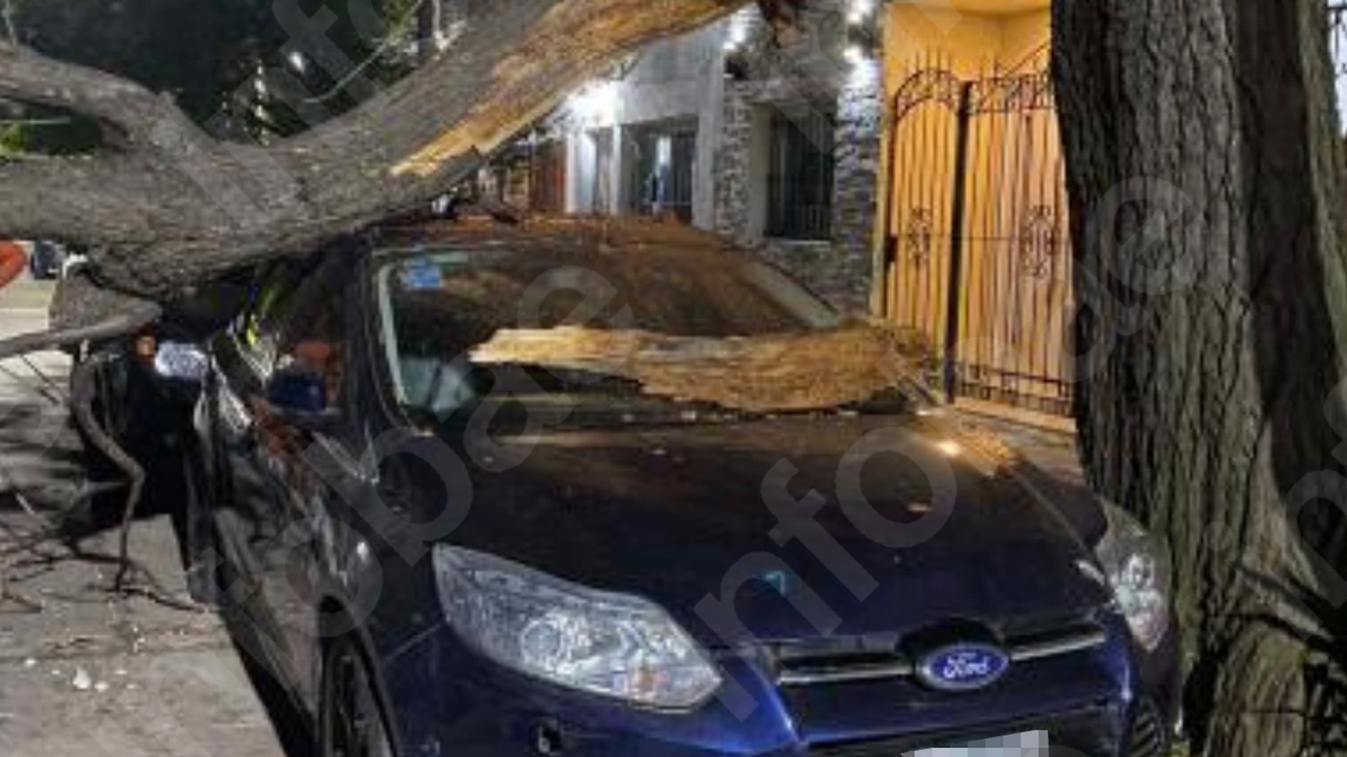 La municipalidad debía podar un árbol y no lo hizo: una rama cayó sobre un auto y deberá indemnizar al dueño