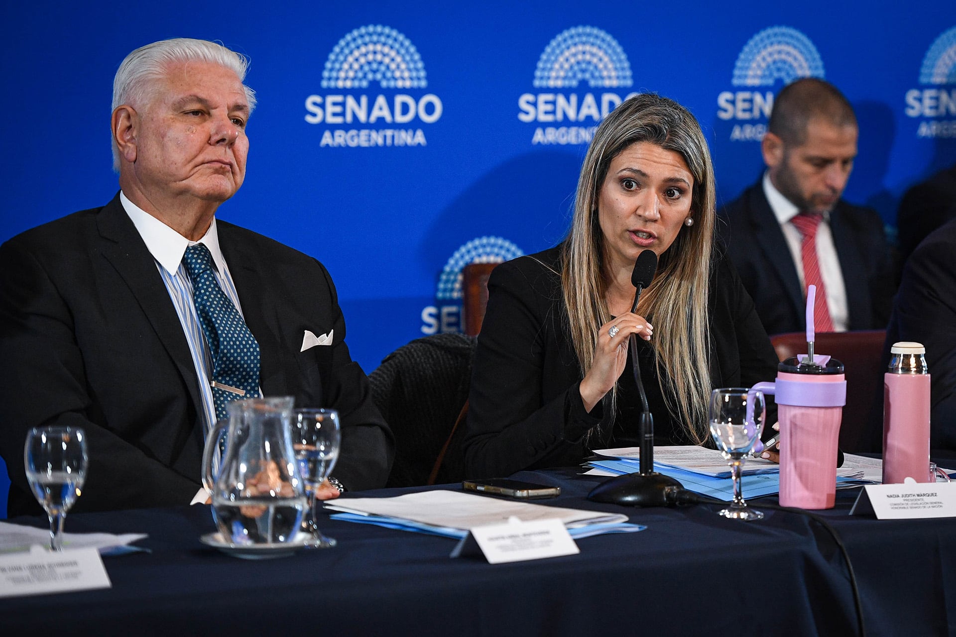 Aliados buscan posponer la definición del manejo de la estratégica comisión de Acuerdos del Senado hasta 2027