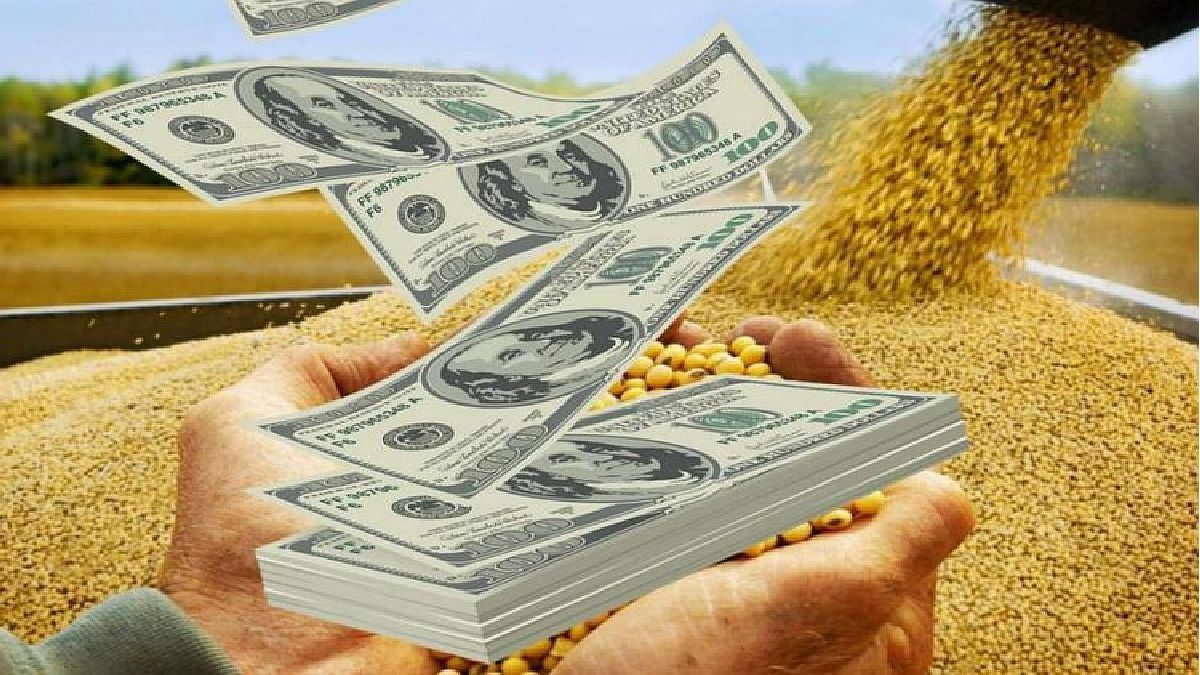 ¿Más presión para el dólar?: Caen los precios internacionales del agro y la colocación de deuda privada