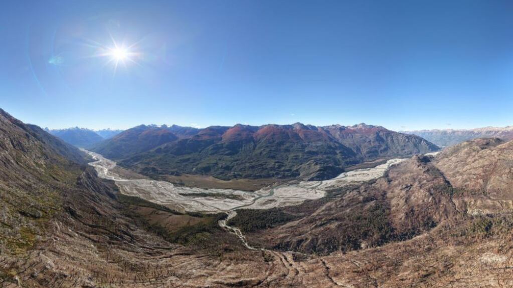 En 2015, un incendio arrasó 7000 hectáreas de bosque en Chubut: 11 años después, plantaron 20.000 árboles nativos para recuperarlo