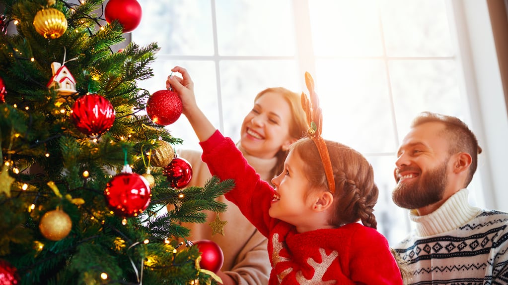 De árboles de Navidad a taladros y artículos de camping: cómo es el nuevo concepto de compras para toda la familia